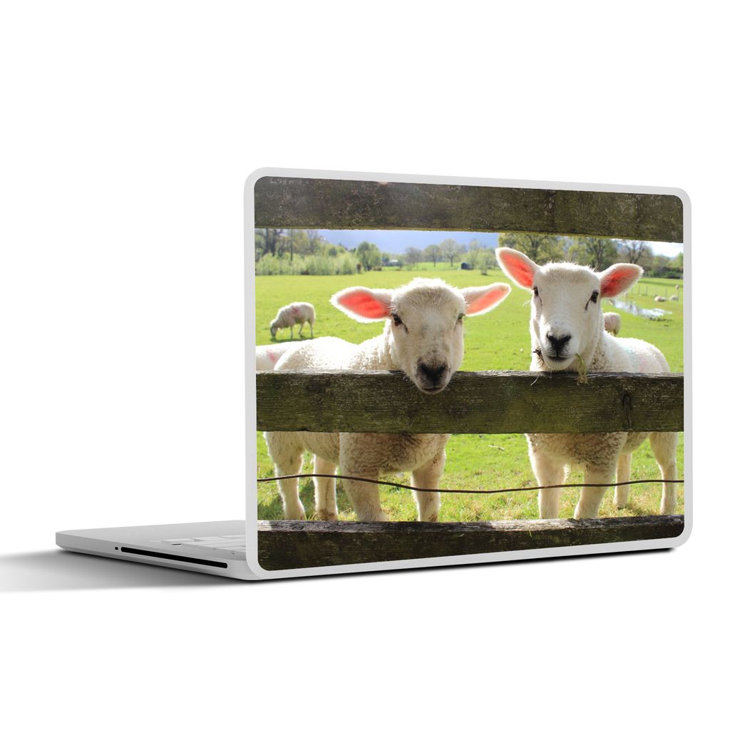 MuchoWow Laptop Aufkleber Sticker Cover Schafe - Tiere - Bauernhof 30x22 cm - Laptop-Sticker
