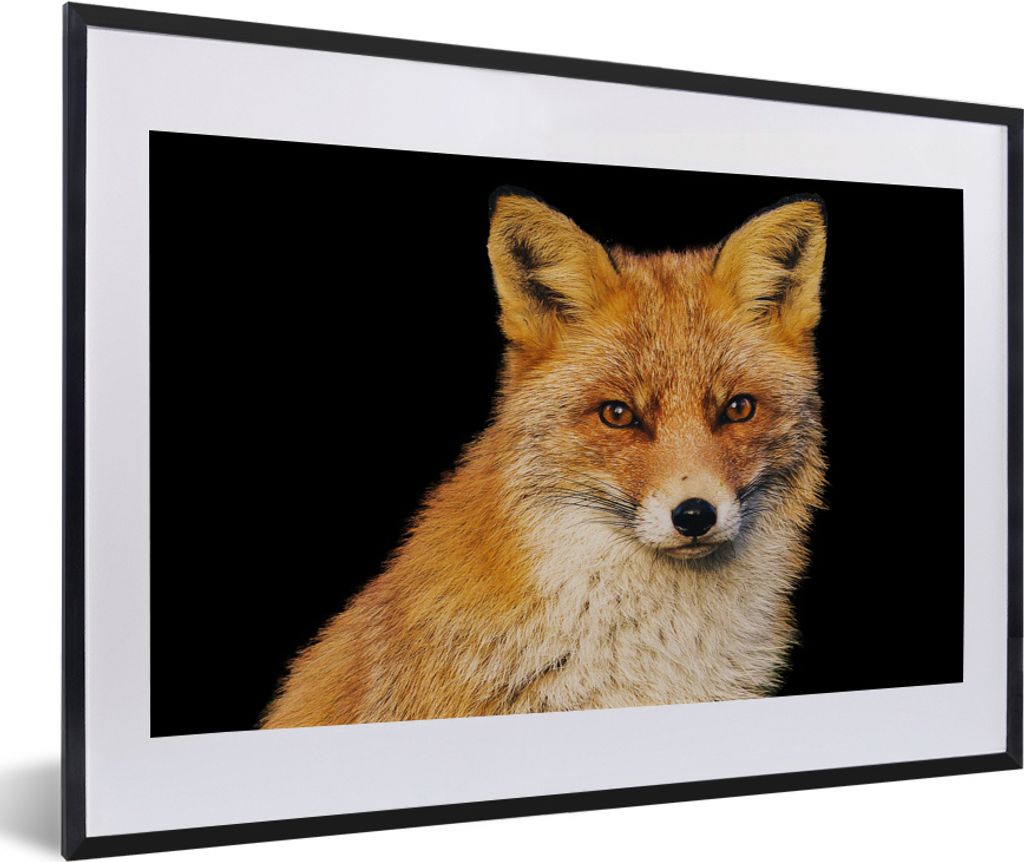 MuchoWow MuchoWow Gerahmtes Poster Fuchs - Rot - Schwarz 60x40 cm - Poster mit zchwarzem Bilderrahmen - Schlafzimmer - Plakat in Rahmen - Drucken