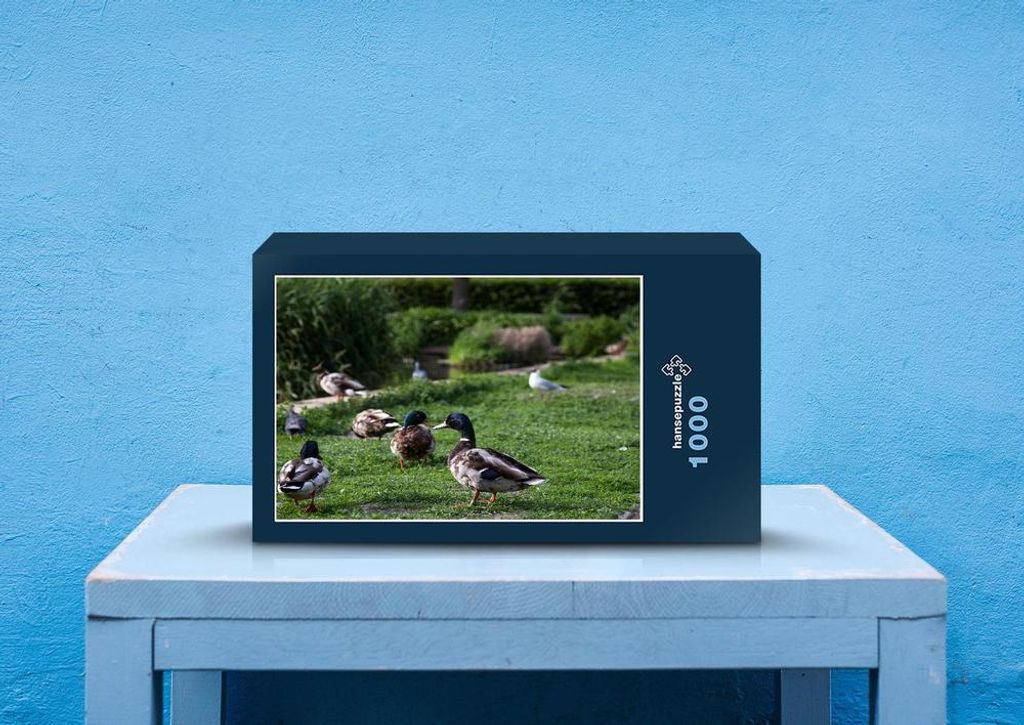 hansepuzzle 31139 - Ente Puzzle, 1000 Teile, Tierwelt, 60,0 x 46,0cm mit hochwertiger Aufbewahrung, Kartonbox und wiederverschließbarem Beutel