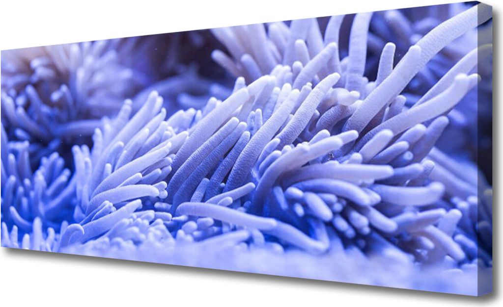 Tulup Leinwand-Bilder 125x50 Wandbild Canvas Kunstdruck Abstrakt Kunst