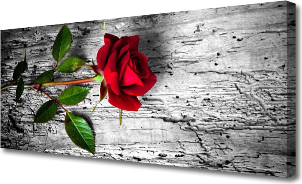 Tulup Leinwand-Bilder 125x50 Wandbild Canvas Kunstdruck Rose Pflanzen