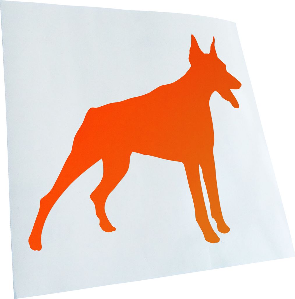 Kiwistar - Autoaufkleber - Dobermann Hunderasse Dog Heckscheibenaufkleber - Aufkleber für Auto Kfz Fahrrad, LKW, Truck Mofa