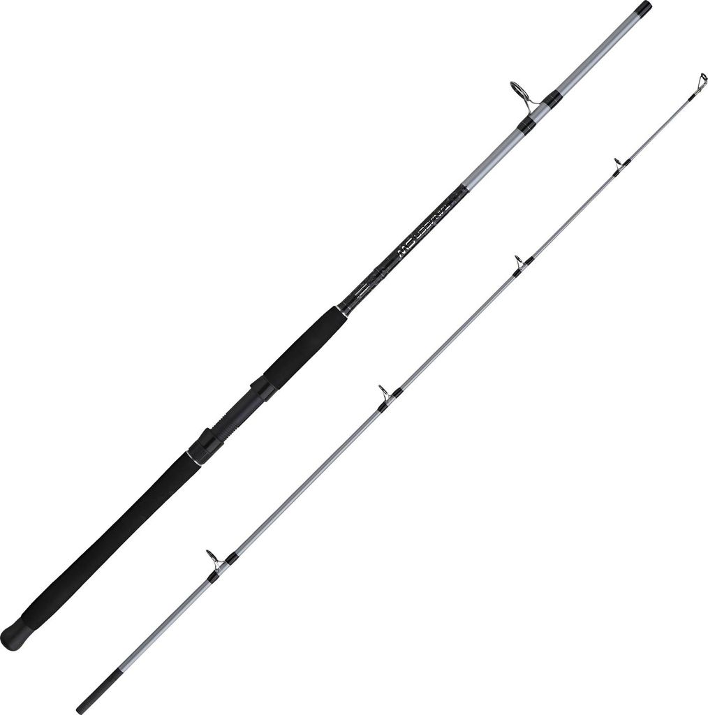 Mitchell Tanager SW Boat Rod