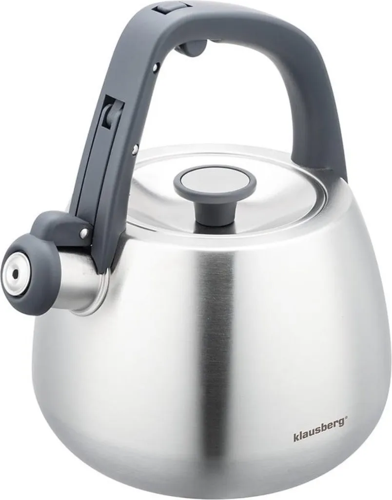 Bouilloire pour thé et café sur gaz ou induction 2,5L en inox robuste