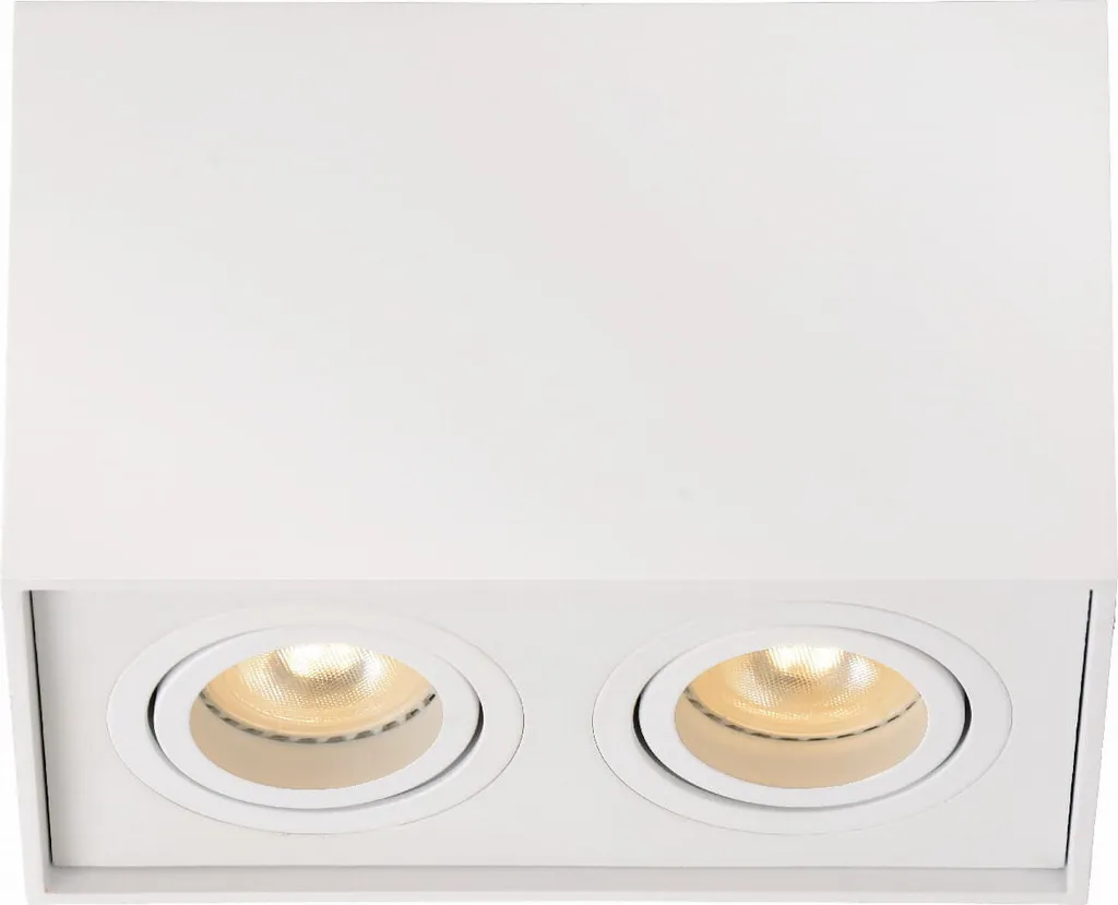 Spot Lucide 22953/02/31 Tube Reflector GU10 42W Blanc pour Plafond