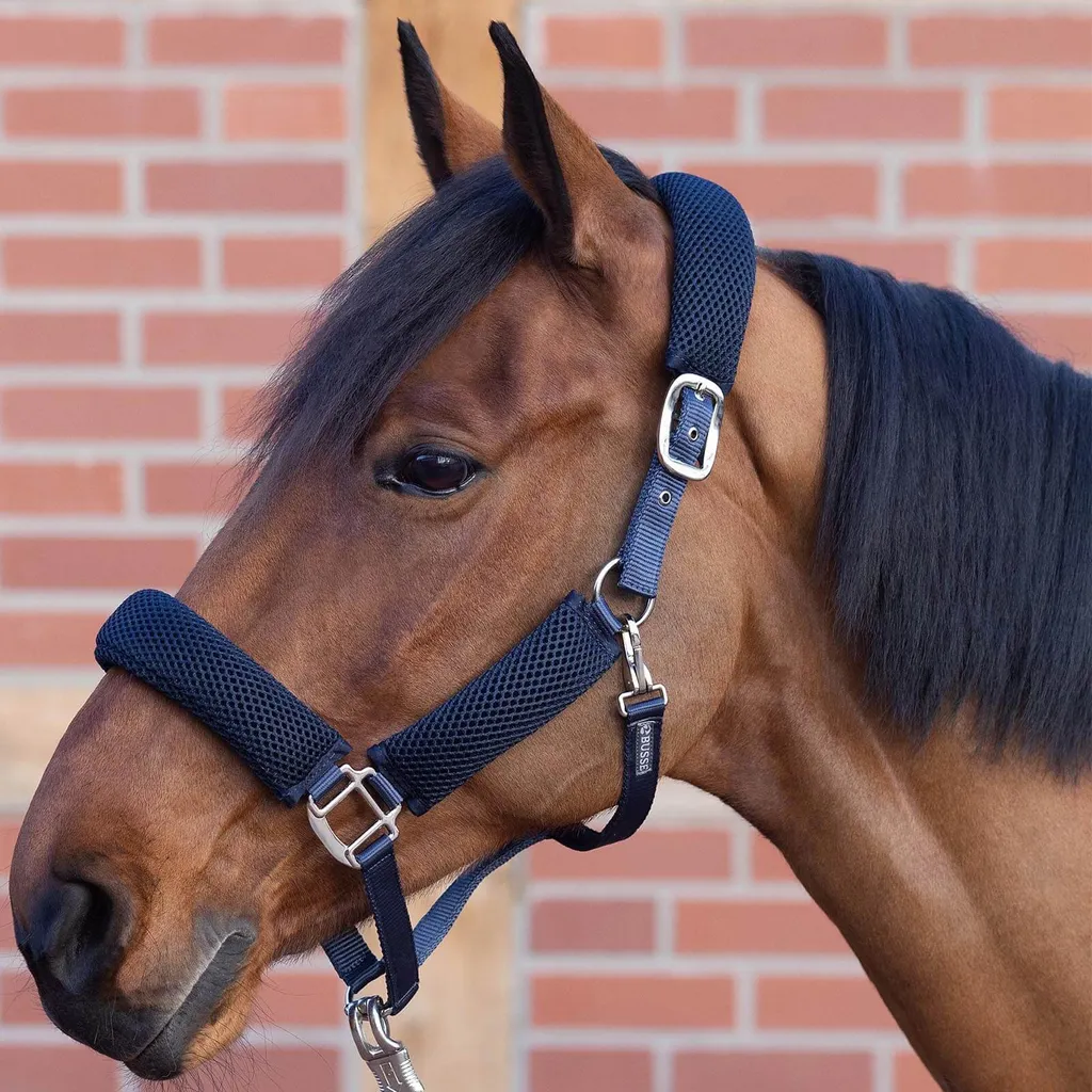 Licol technique 3D Air Effect Pro BUSSE Navy pour petit poney - 2