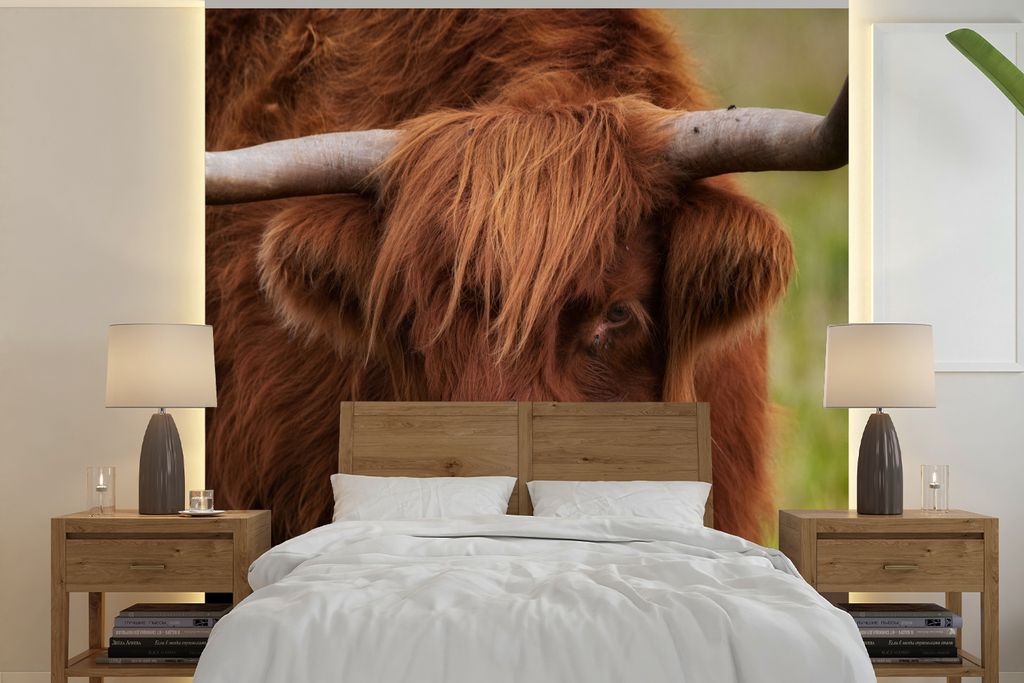 MuchoWow Fototapete für Wohnzimmer oder Schlafzimmer Wandtapete Vinyl Motivtapete Schottischer Highlander - Orange - Tiere - 240x240 cm - Schlaf...