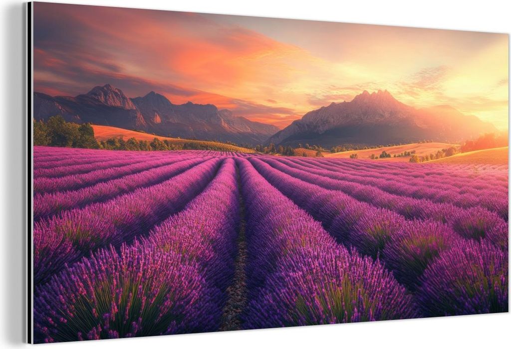 MuchoWow Wanddekoration Metall Metallbild Wandkunst 40x20 cm Lavendelfeld - Sonnenuntergang - Lila MuchoWow Aluminium Gemälde - Bild - Aluminium