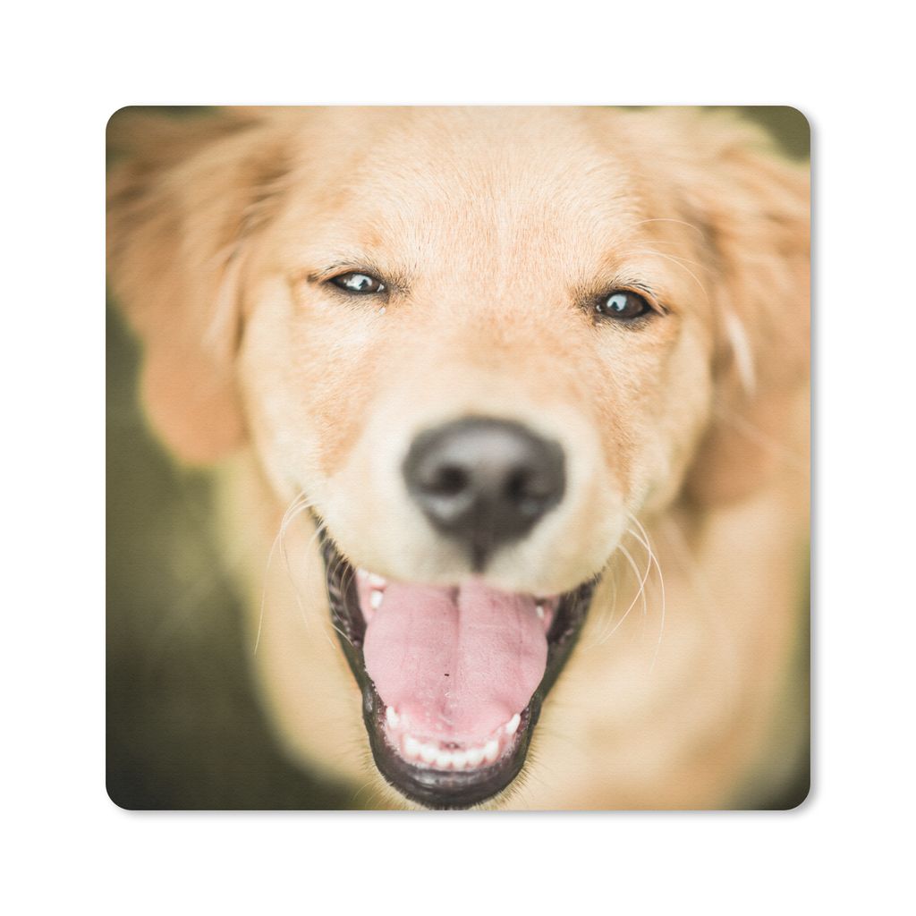 MuchoWow Mauspad Mousepad Das Glitzern in den Augen dieses Labrador Retrievers 30x30 cm - Mousepads - Maus Mat - Pad - Mausunterlage - Gaming