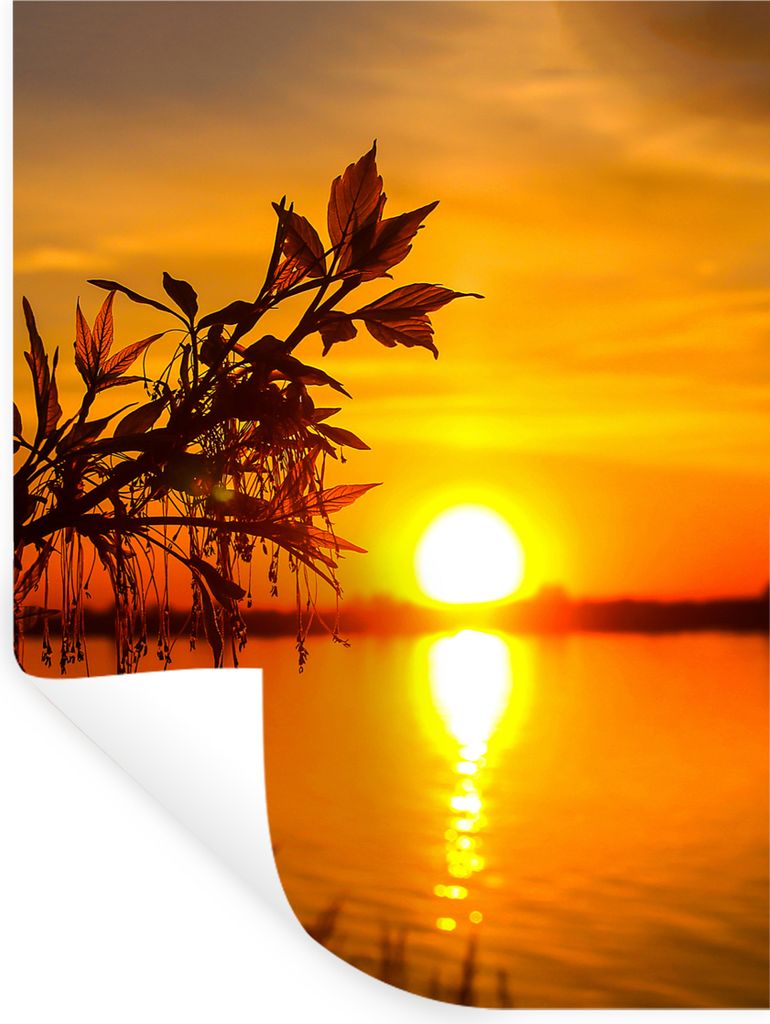 MuchoWow Wandtattoo Wandsticker Wandaufkleber Sonnenuntergang - Wasser - Pflanzen - Orange 30x40 cm Selbstklebend und Repositionierbar - Sticker ...