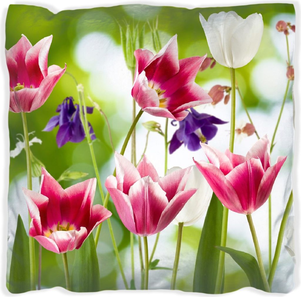 Wallario Premium Kissen, weiche Oberfläche, mit Motiv Blühende Blumen im Frühling in pink und weiß, Größe: 60 x 60 cm, mit weißer Rückseite