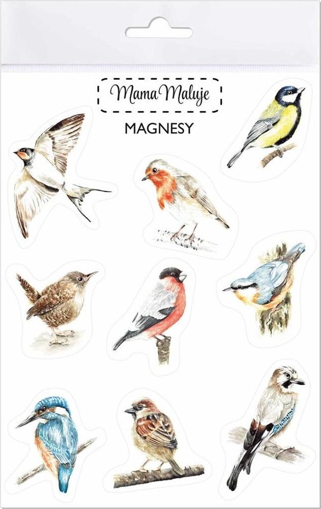 Set Magnete "Vögel" – Handgemalte Aquarelldesigns
