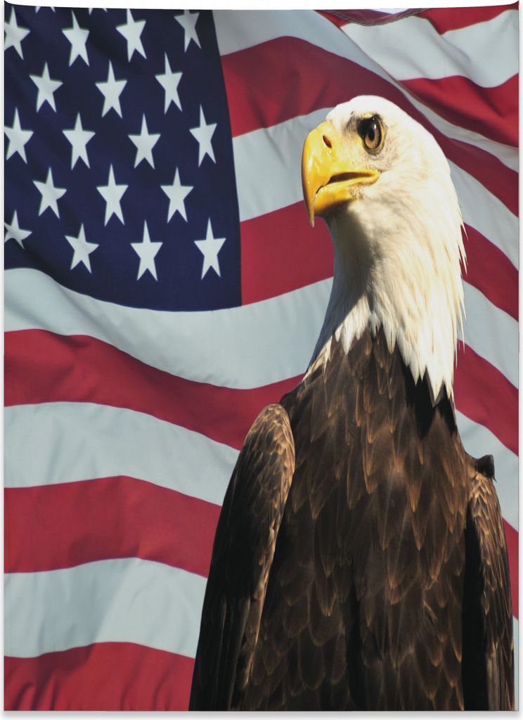 Abakuhaus Adler Wandteppich, US-Flagge-Land-Symbol aus Weiches Mikrofaser Stoff Kein Verblassen Klare Farben Waschbar, 110 x 150 cm, Mehrfarbig