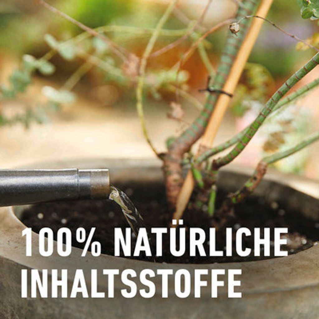 COMPO Zitruspflanzendnger 500 ml Dnger