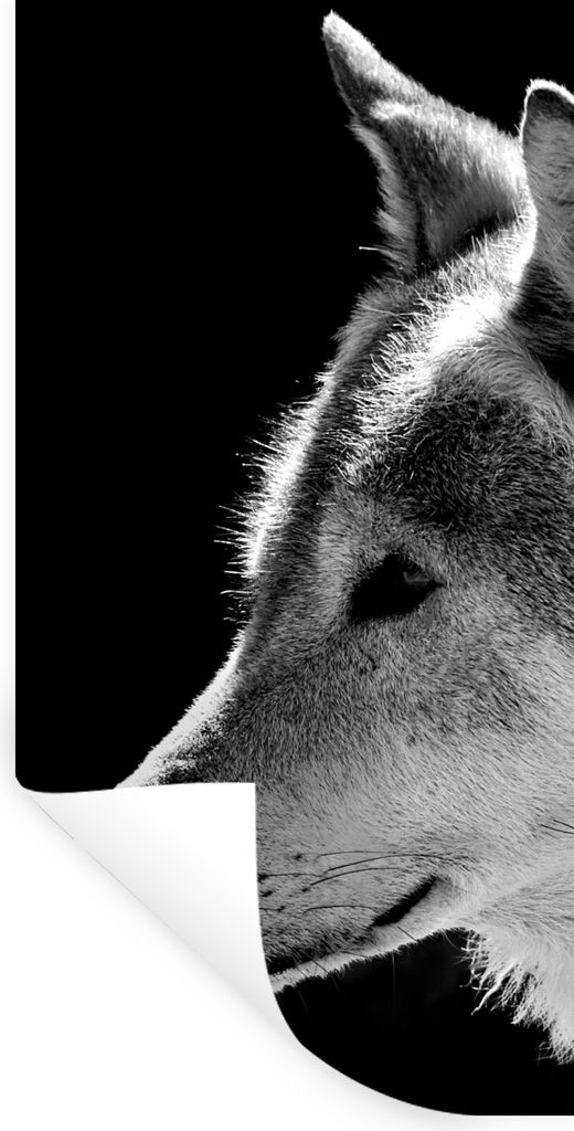 MuchoWow Wandtattoo Wandsticker Wandaufkleber Wildlife - Wolf - Schwarz - Weiß 60x120 cm Selbstklebend und Repositionierbar - Selbstklebend - Fo...
