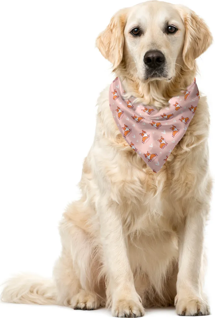 Bandana per Cani ABAKUHAUS Corgi Print 55x55 cm Arancione Fashion