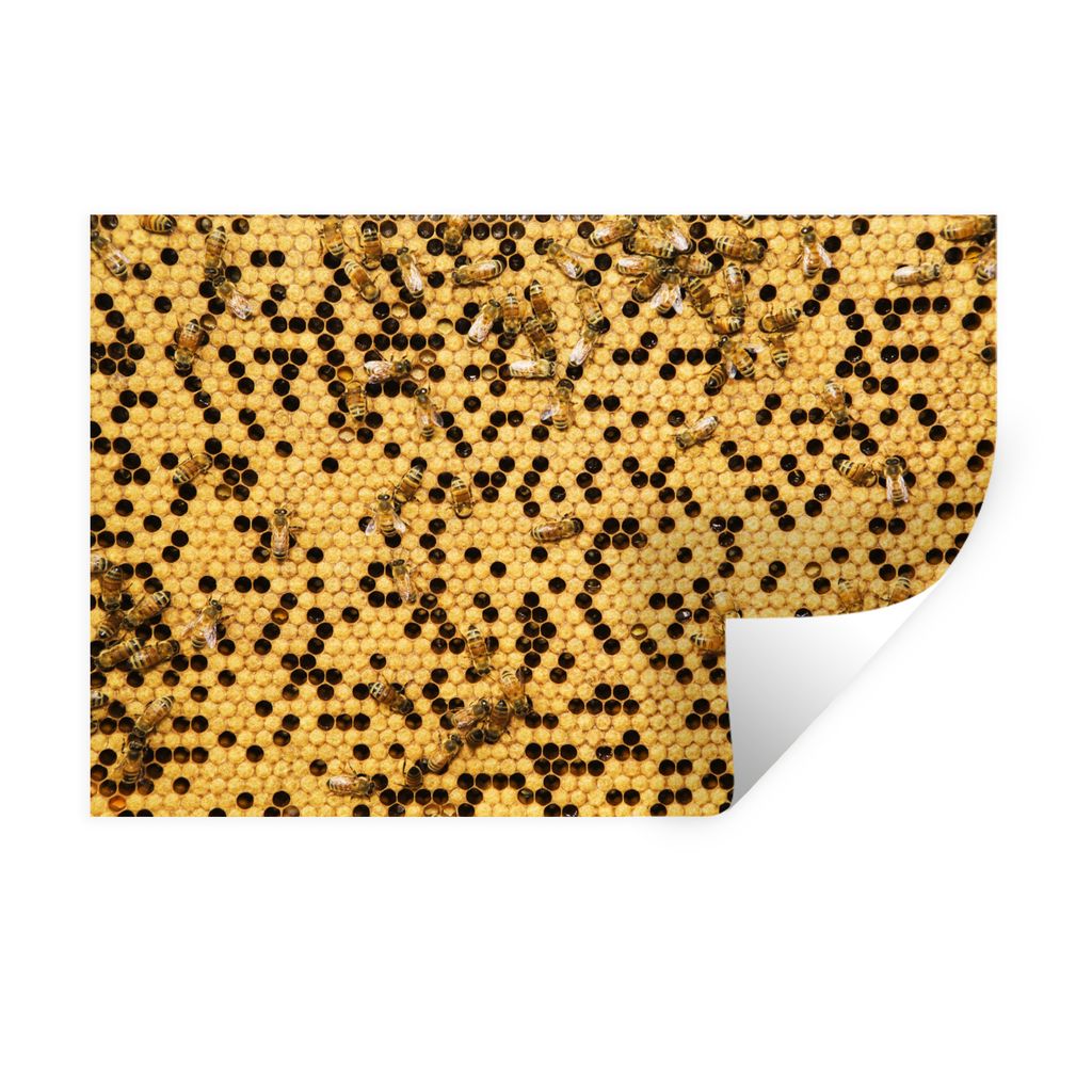 MuchoWow Wandtattoo Wandsticker Wandaufkleber Nahaufnahmen eines Bienenstocks 60x40 cm Selbstklebend und Repositionierbar - Wierderverwendbar - S...