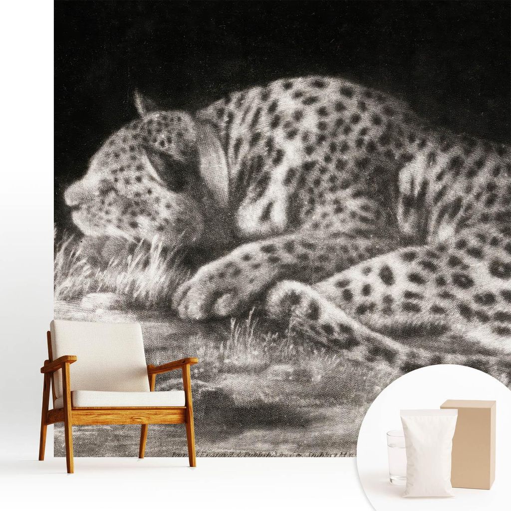 Fototapete - 250x250 cm - Tapete - Wandtapete - Wandbilder - Dekofolie - Tapete Folie - Wand - Dekoration - Wohnzimmer - Leopard ruht