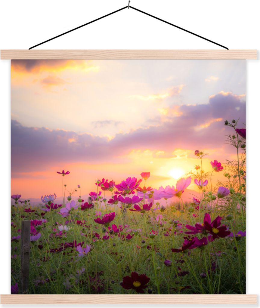 MuchoWow Textilposter Sonnenuntergang - Blumen - Rosa - Natur - Grün 60x60 cm mit holzfarbenen Rahmen - Wanddekoration