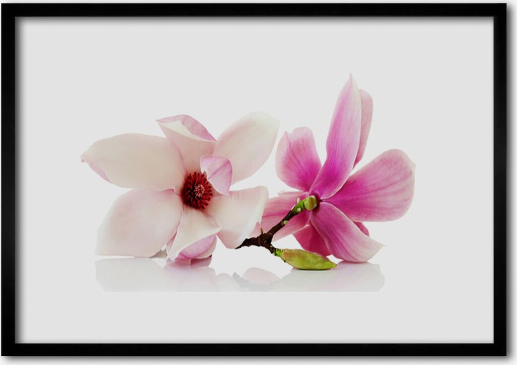 Bild 70x50 MDF-Rahmen Wandkunst Blumen Pflanzen Natur
