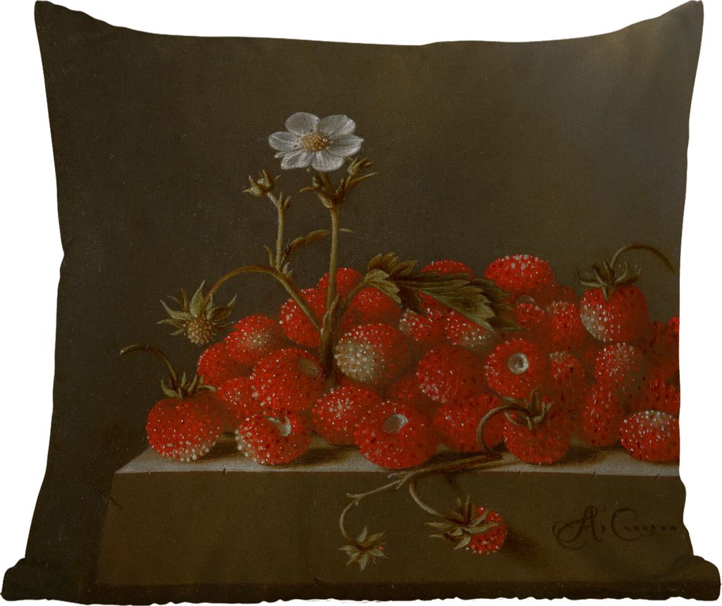 MuchoWow Outdoor Kissen - Stilleben mit Walderdbeeren - Gemälde von Adriaen Coorte - 45x45 cm - Wetterfest - Lounge Kissen - Fotokissen - Dekora...