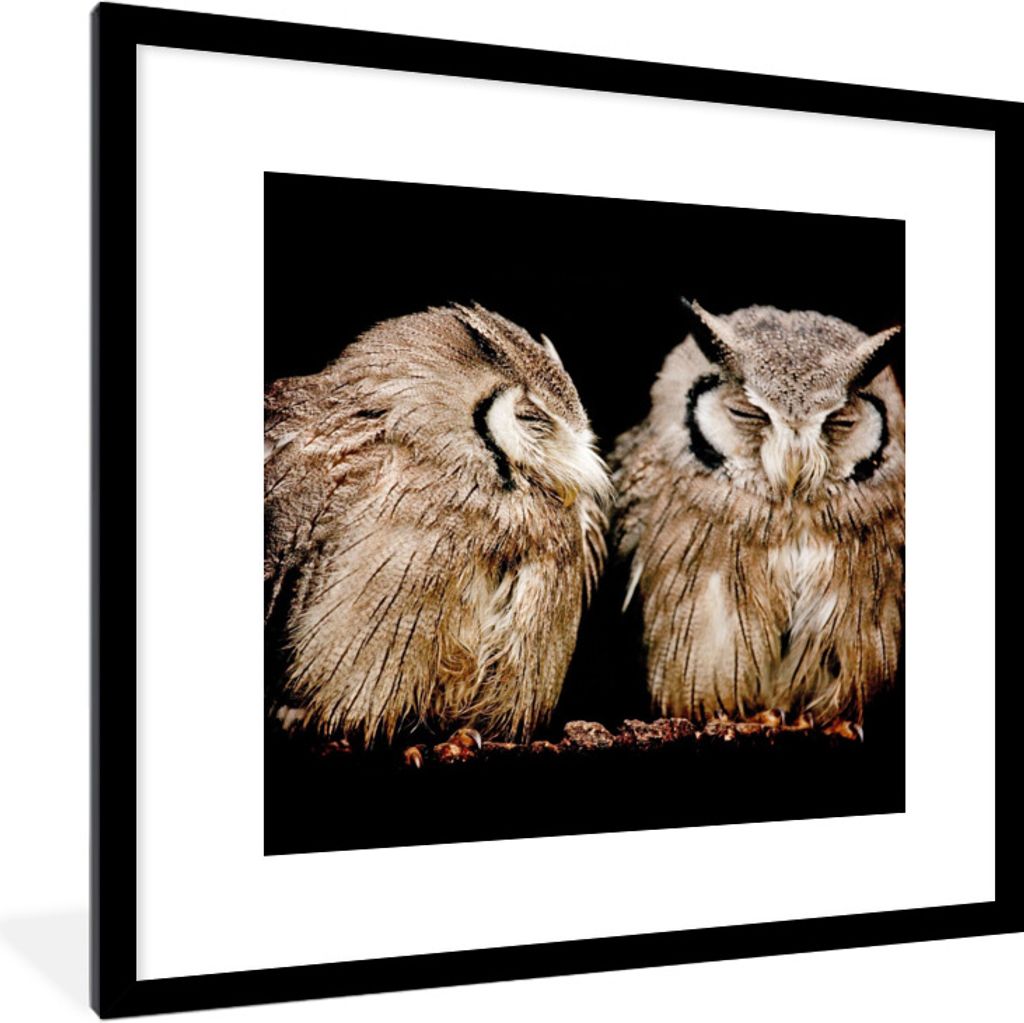 MuchoWow Gerahmtes Poster Eule - Vogel - Schwarz 40x40 cm - Poster mit Schwarzem Bilderrahmen Wandposter Rahmen Foto Bilder - Poster - Plakat im ...
