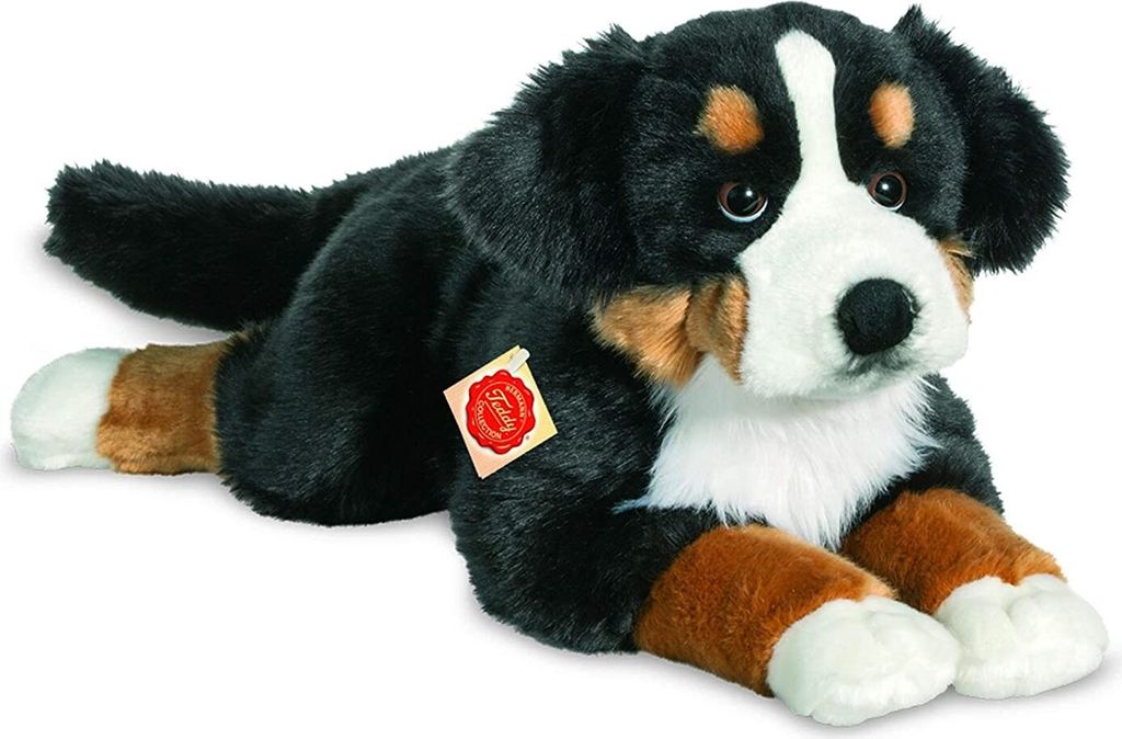Berner Sennenhund, ca. 60 cm, 1 Stück Produktbild 