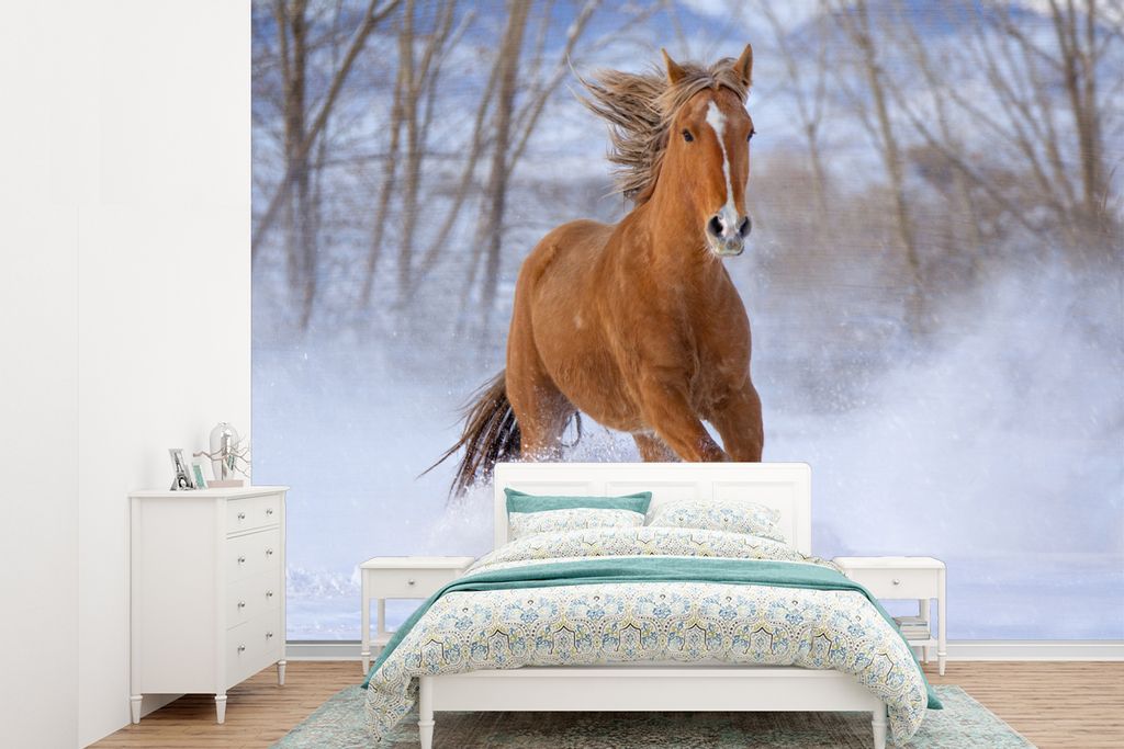 MuchoWow Fototapete für Wohnzimmer oder Schlafzimmer Wandtapete Vinyl Motivtapete Pferd - Schnee - Braun - 415x300 cm - Küche