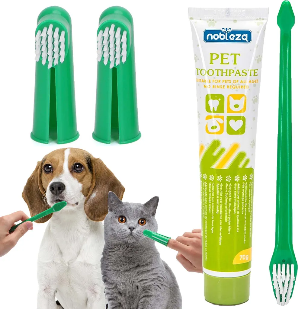 Éliminez le tartre de votre chien avec ce kit dentifrice et brosses