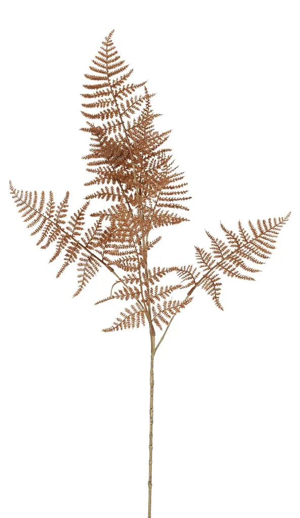 Asparagus artificiel brun 85cm Countryfield Fleur décorative haut de gamme