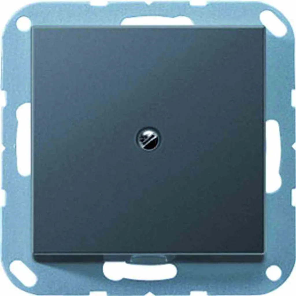 Sortie de fil Jung A590BFAANM pour raccordement radiateur et hottes