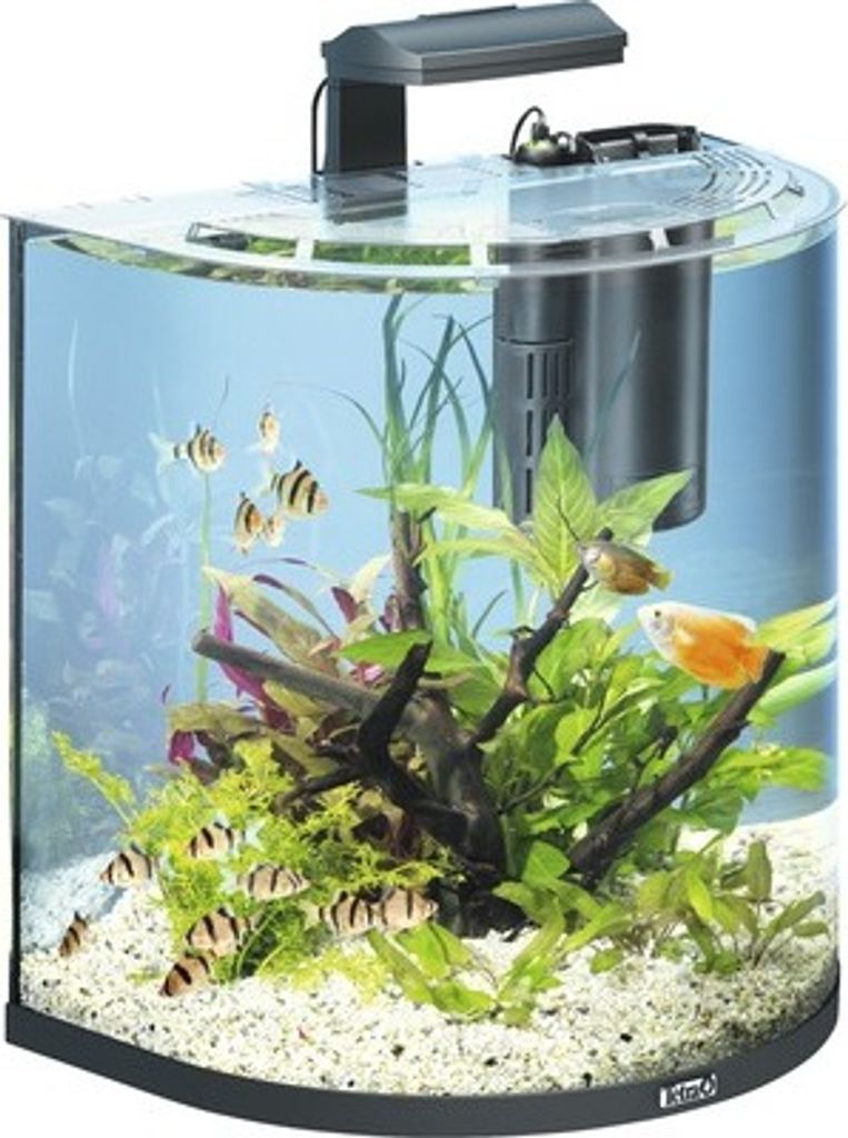 Aquarium Tetra AquaArt Explorer Line 60 l mit Beleuchtung, Heizer, Filter ohne Unterschrank schwarz