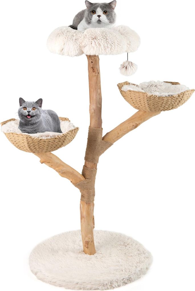 A cat tree with two cats on it, set against a white background.
