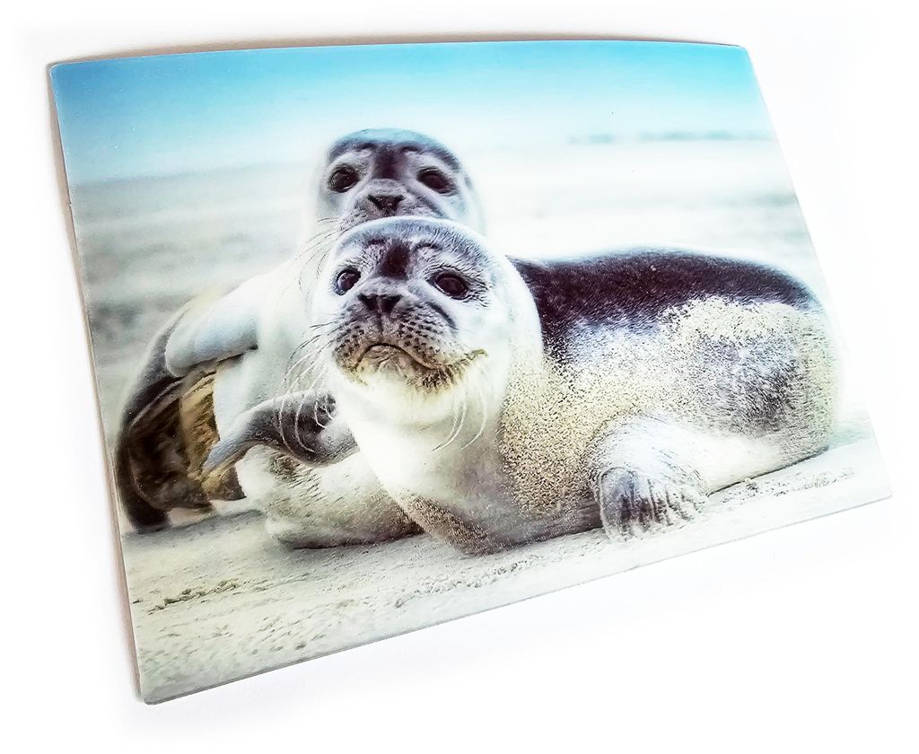 3 D Ansichtskarte Seehunde, Postkarte Wackelkarte Produktbild 