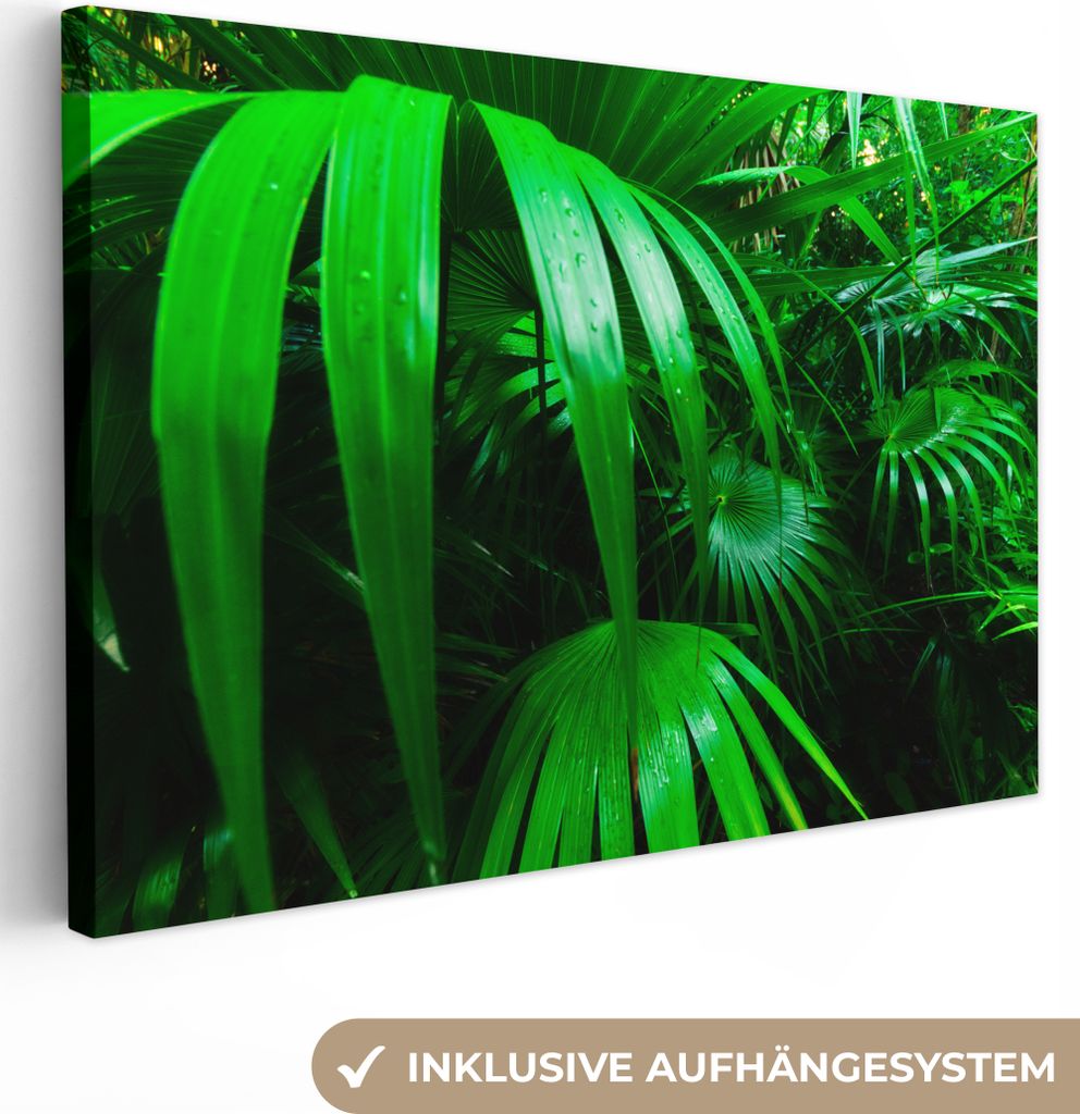 MuchoWow - Leinwandbilder - Palmenblätter im Dschungel, Wandbild, Wanddeko Bilder Wohnzimmer, 90x60 cm