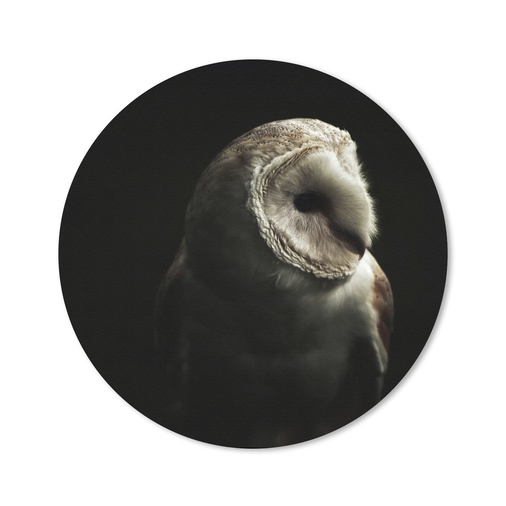MuchoWow Mauspad Mousepad Eule - Vogel - Porträt 30x30 cm - Mousepads - Maus Mat - Pad - Mausunterlage - Tischunterlage - Schreibtischmatten