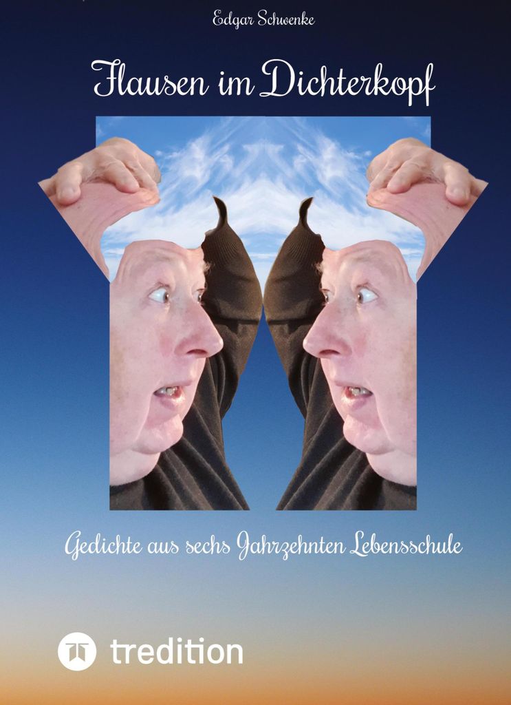 Flausen im Dichterkopf - Gedichte voller Sinn, auch in Form von Un-, Hinter- und Tiefsinn