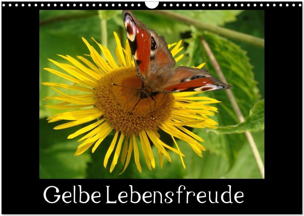 Gelbe Lebensfreude (Wandkalender 2026 DIN A3 quer), CALVENDO Monatskalender