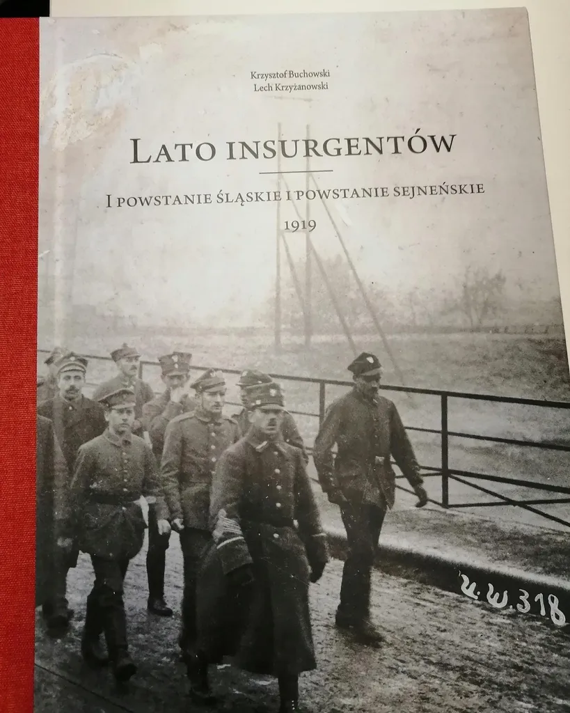 Lecture Passion Sommer der Aufständischen Roman de Révolte Allemand
