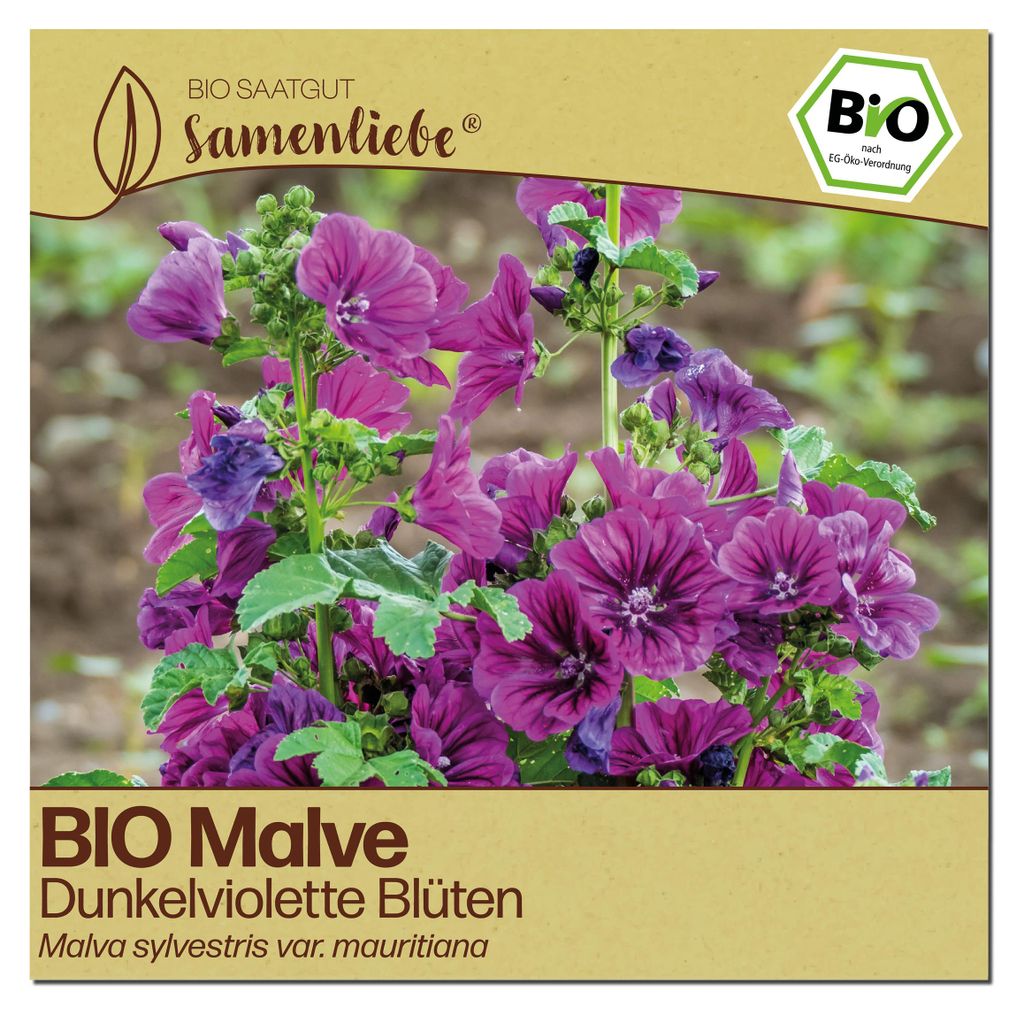 Samenliebe  Malve Samen | Heilpflanze - dunkelviolett - Produktbild 