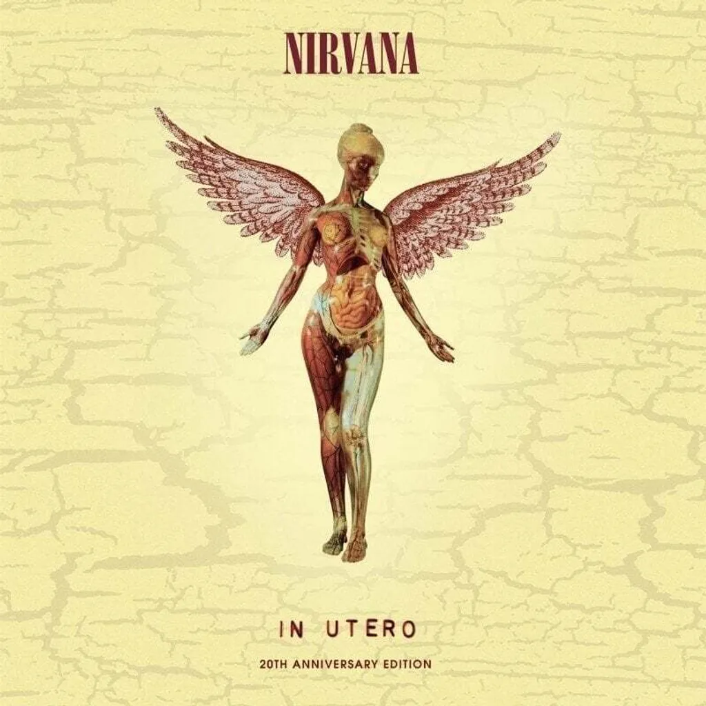 CD Nirvana In Utero Remasterisé à Écouter sur Chaîne Hi-Fi de Salon