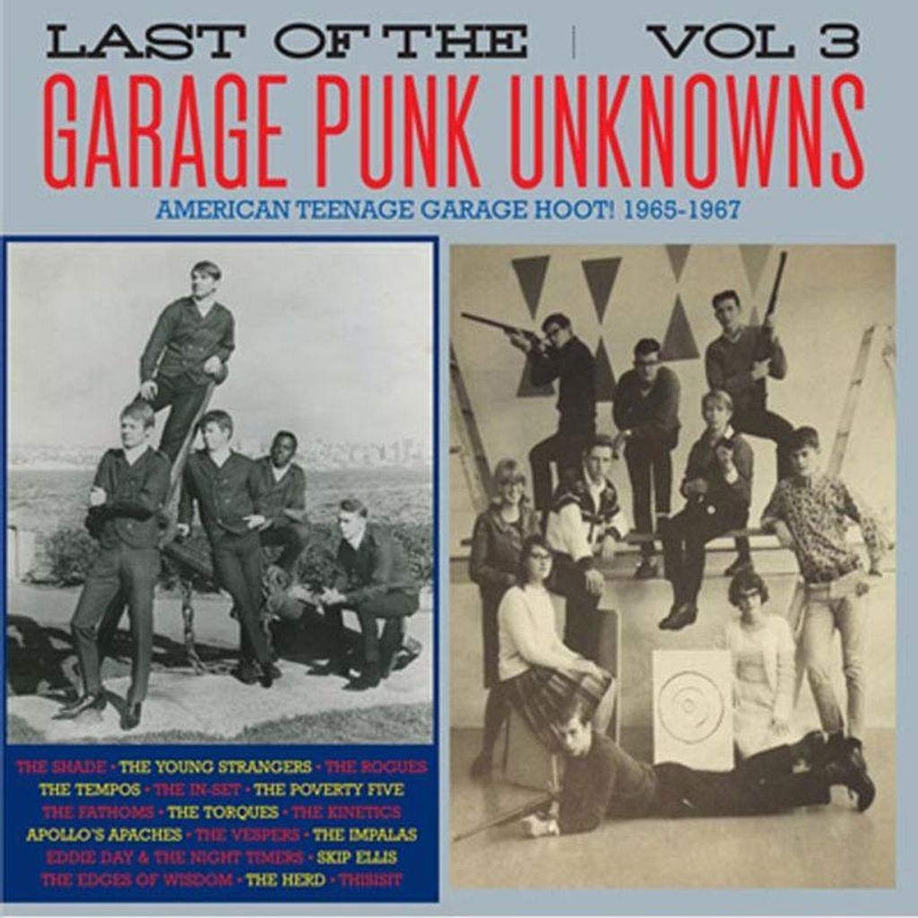 Various/Garage Punk Unknowns-The Last Of..Vol.3