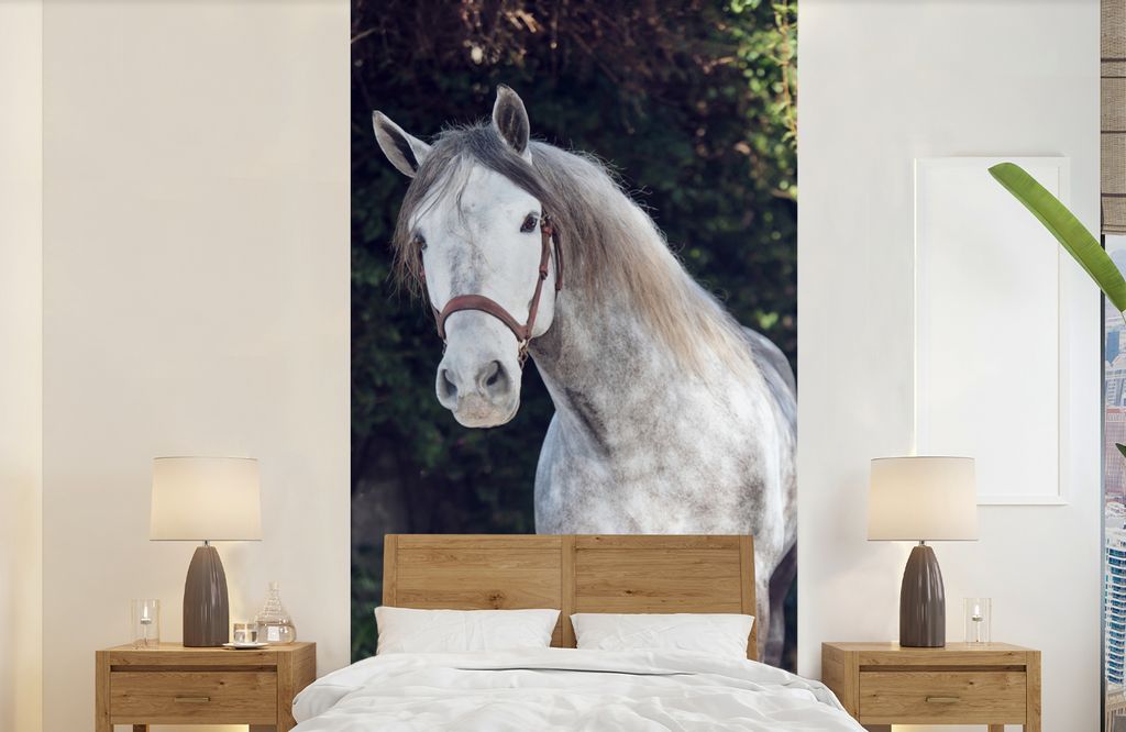 MuchoWow Fototapete für Wohnzimmer oder Schlafzimmer Wandtapete Vinyl Motivtapete Pferd - Halfter - Natur - 120x240 cm - Hintergrundbild