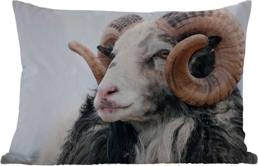 MuchoWow Outdoor Kissen - Schafe - Horn - Tiere - 60x40 cm - Wetterfest - Lounge Kissen - Zierkissen - Kissen für Innenräume