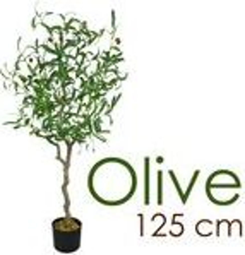 Olivenbaum Olive Künstlich Olivenbusch Kunstbaum Produktbild 