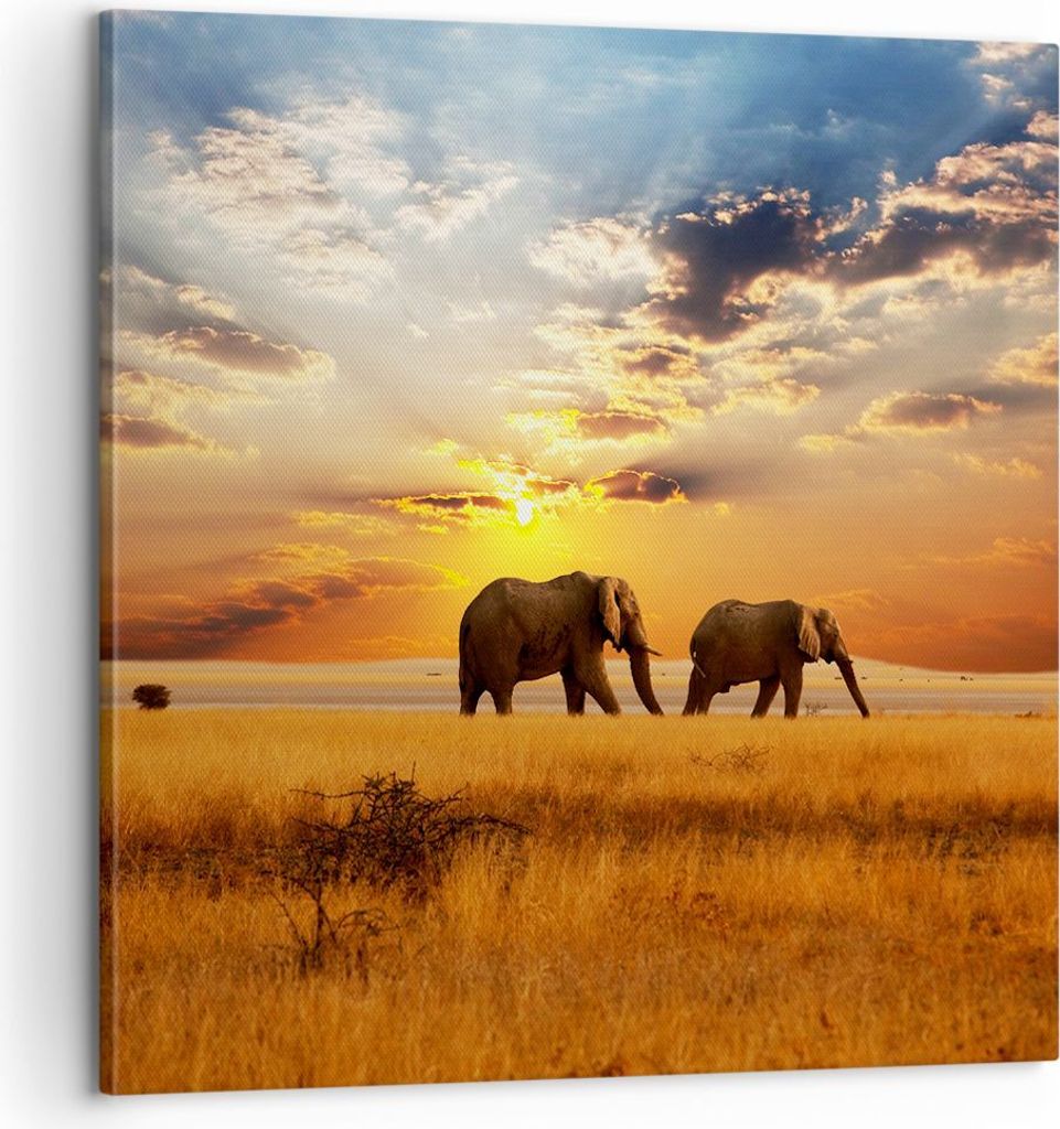 Bild auf Leinwand - Leinwandbild - Elefanten Safari Dschungel Busch - 60x60cm - Wand Bild - Wanddeko - Leinwanddruck - Bilder - Kunstdruck - Wandde...