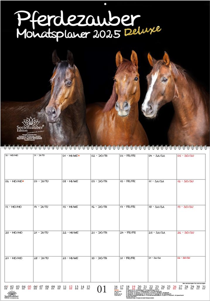 Pferdezauber Calendrier 2025 Chevaux Et Poulains 10x10 Cm - Seelenzauber Avec Jours Fériés Internationaux