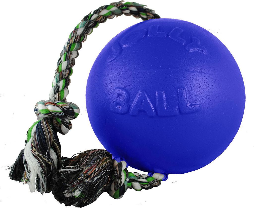 Jolly Pets - Hundeball "Romp-N-Roll" TL5161 (11,43 cm) (Blau)