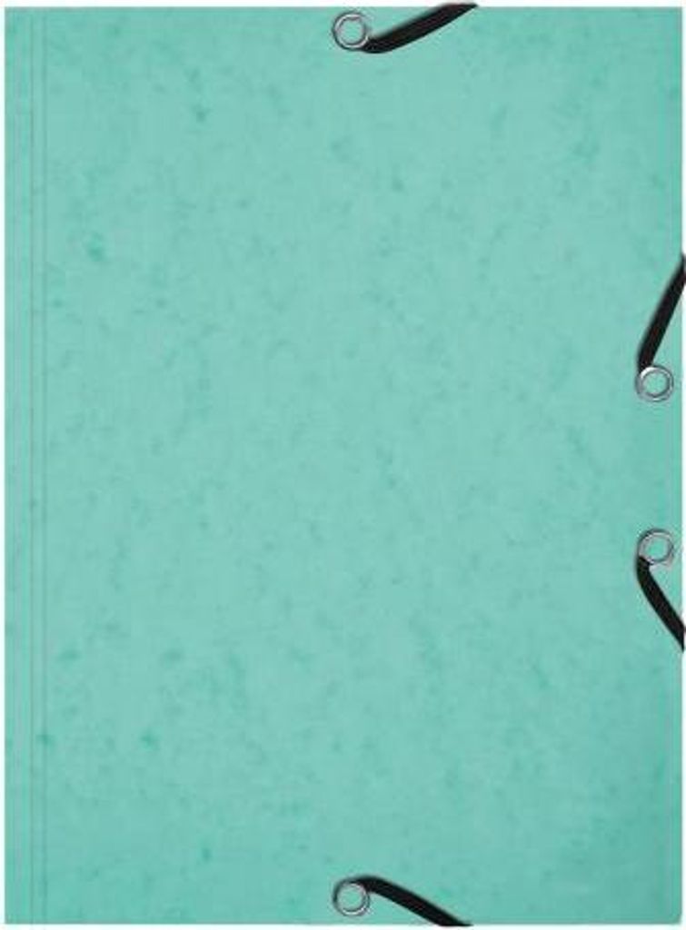 Exacompta 10x Karteikarten-Set Sammelmappe 3 Klappen Pastellgrün 555663E