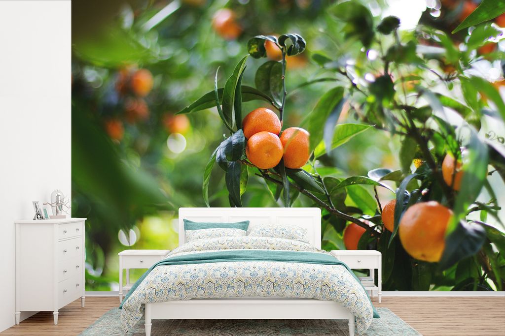 MuchoWow Fototapete für Wohnzimmer oder Schlafzimmer Wandtapete Vinyl Motivtapete Mandarinenbaum in einem Obstgarten - 330x220 cm - Fototapeten